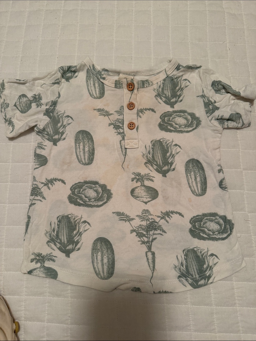 Kate Quinn Bamboo Jadeite Veggie Henley Top